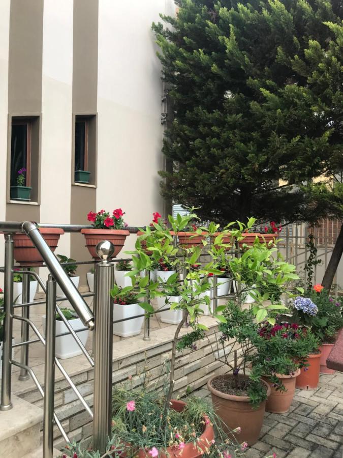 Guest House Il Palazzo دراس المظهر الخارجي الصورة